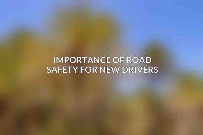 Importance of road safety for new drivers