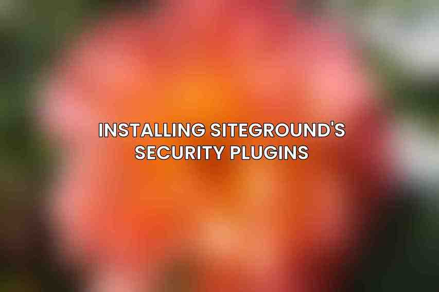 Installing SiteGround's Security Plugins