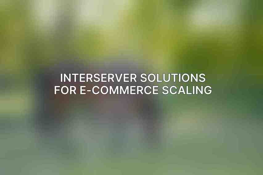 Interserver Solutions for E-commerce Scaling