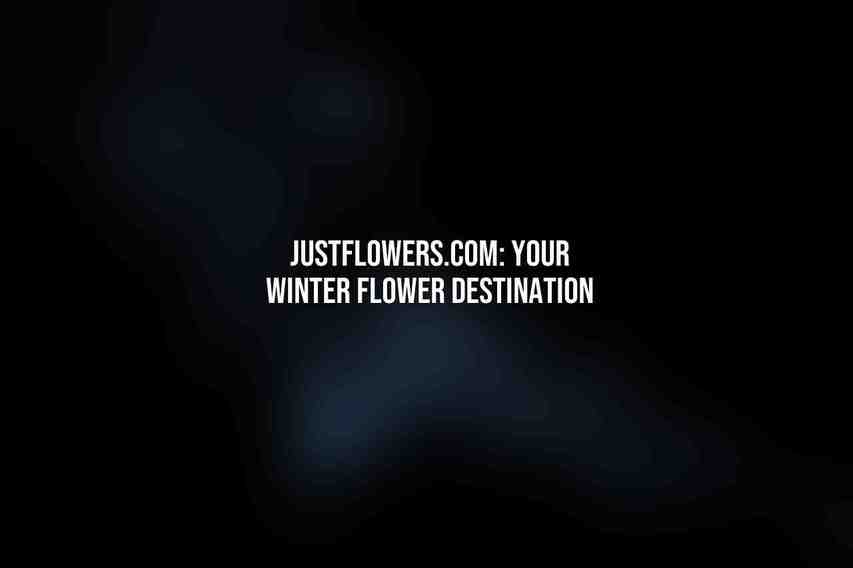 JustFlowers.com: Your Winter Flower Destination