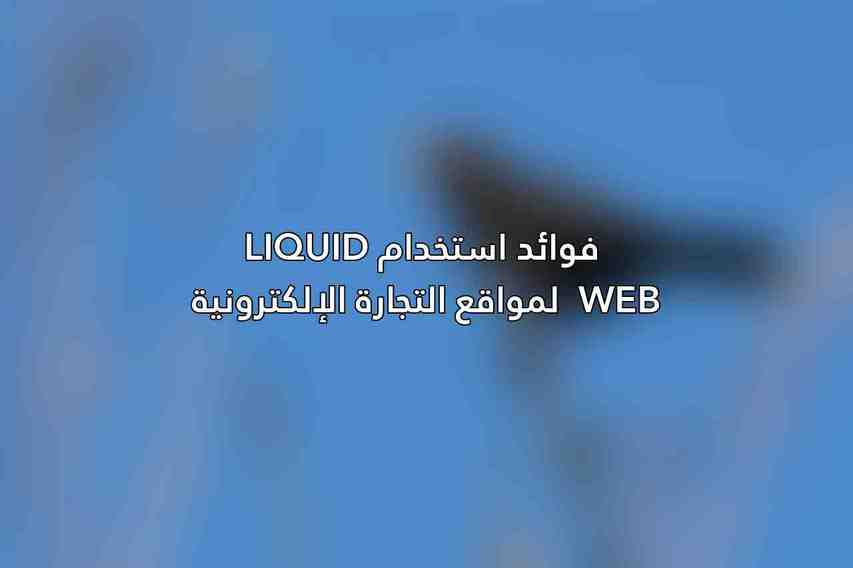 فوائد استخدام Liquid Web لمواقع التجارة الإلكترونية