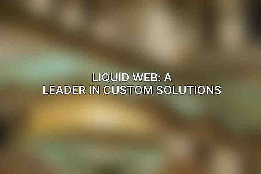 Liquid Web: A Leader in Custom Solutions