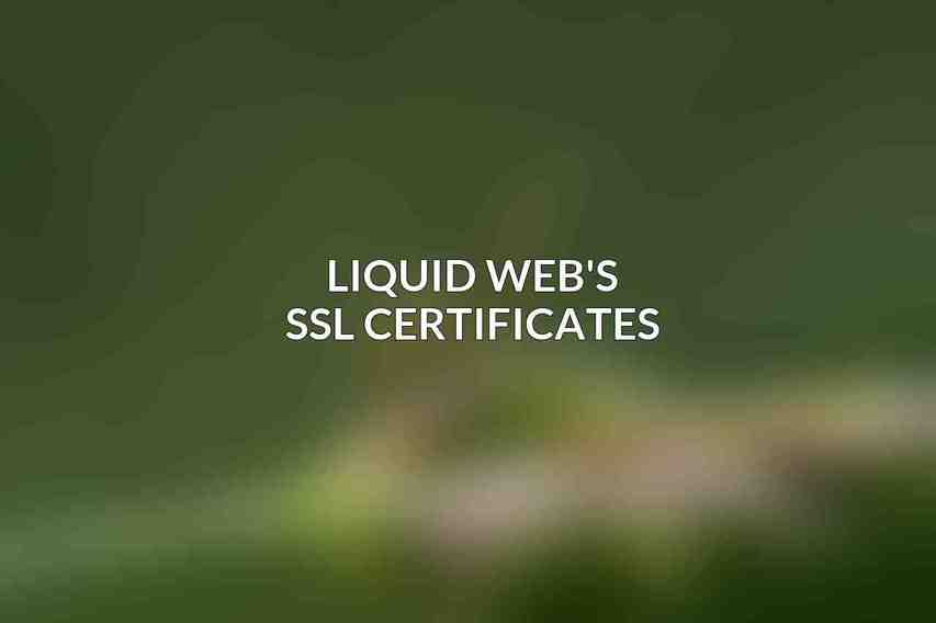 Liquid Web's SSL Certificates