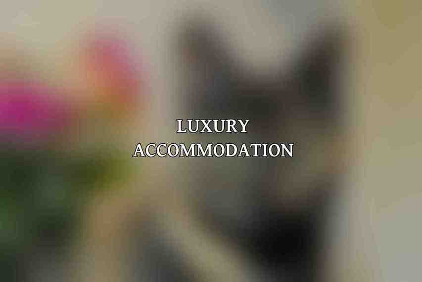 Luxury Accommodation