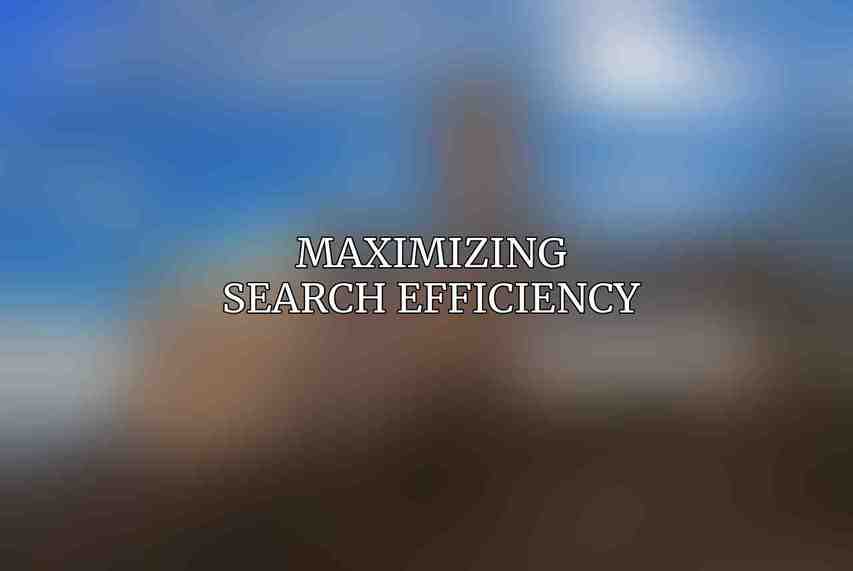 Maximizing Search Efficiency