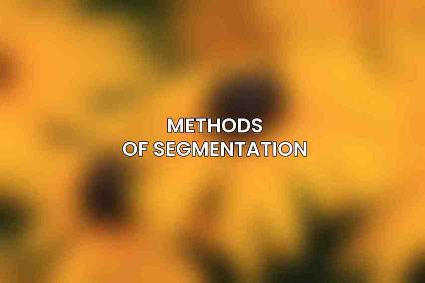 Methods of Segmentation