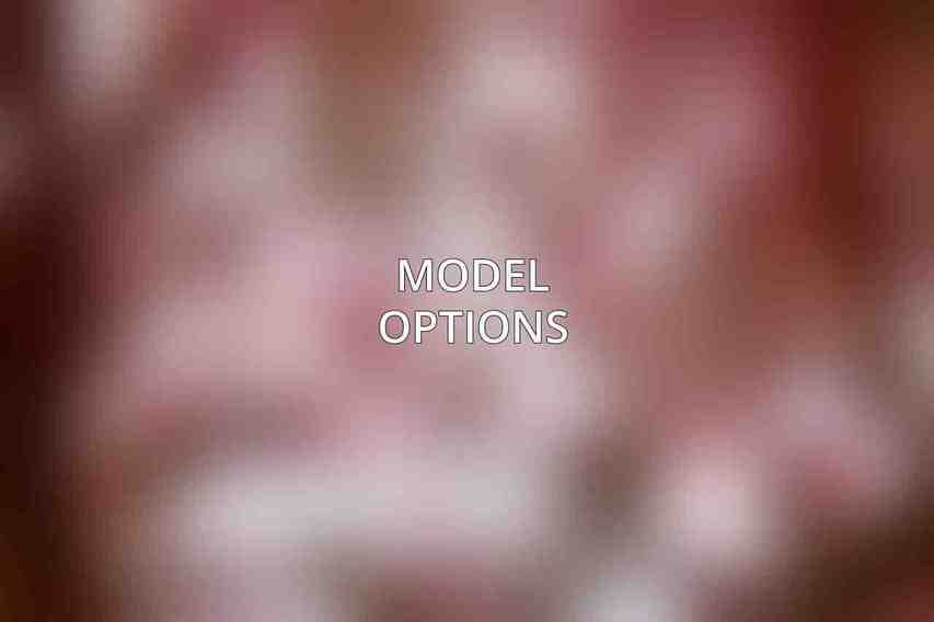 Model Options