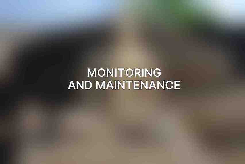 Monitoring and Maintenance