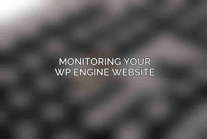Monitoring Your WP Engine Website