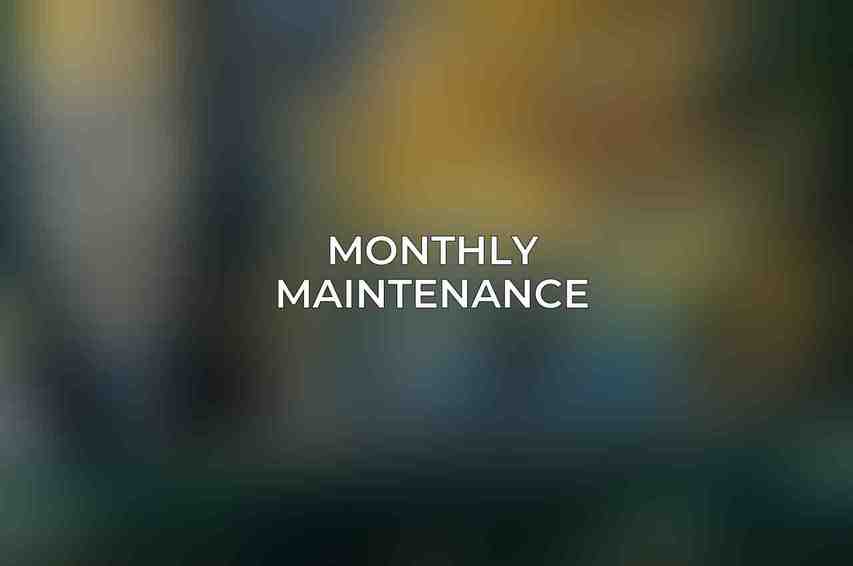 Monthly Maintenance