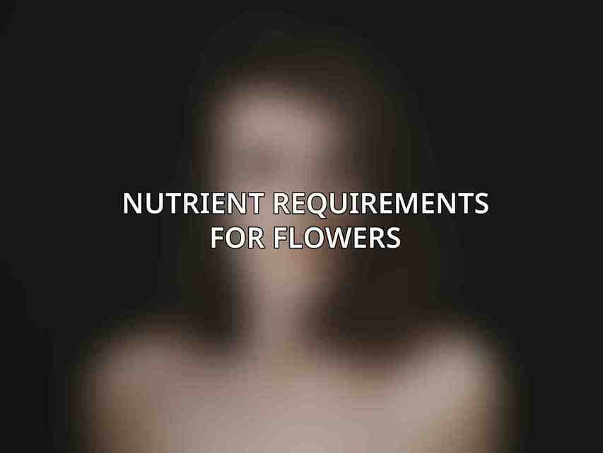 Nutrient Requirements for Flowers