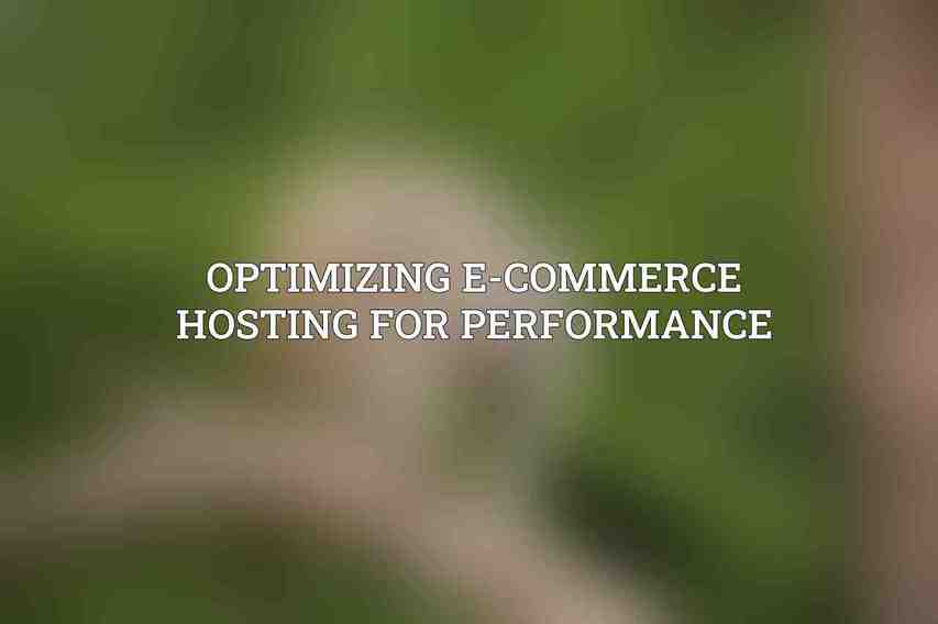 Optimizing E-commerce Hosting for Performance