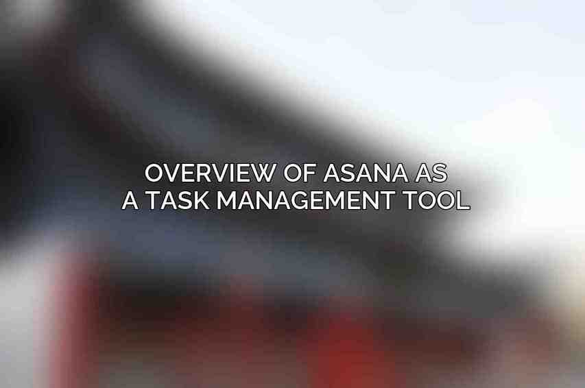 Overview of Asana as a task management tool