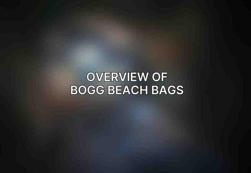 Overview of Bogg Beach Bags