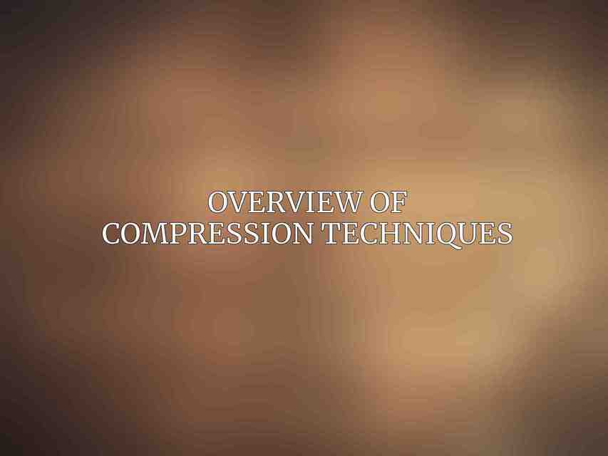 Overview of compression techniques