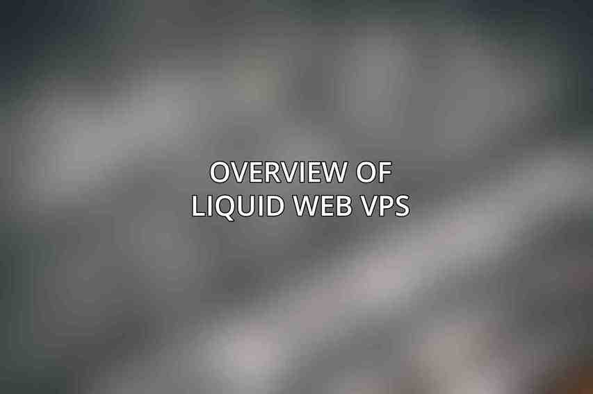Overview of Liquid Web VPS