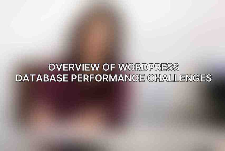 Overview of WordPress Database Performance Challenges