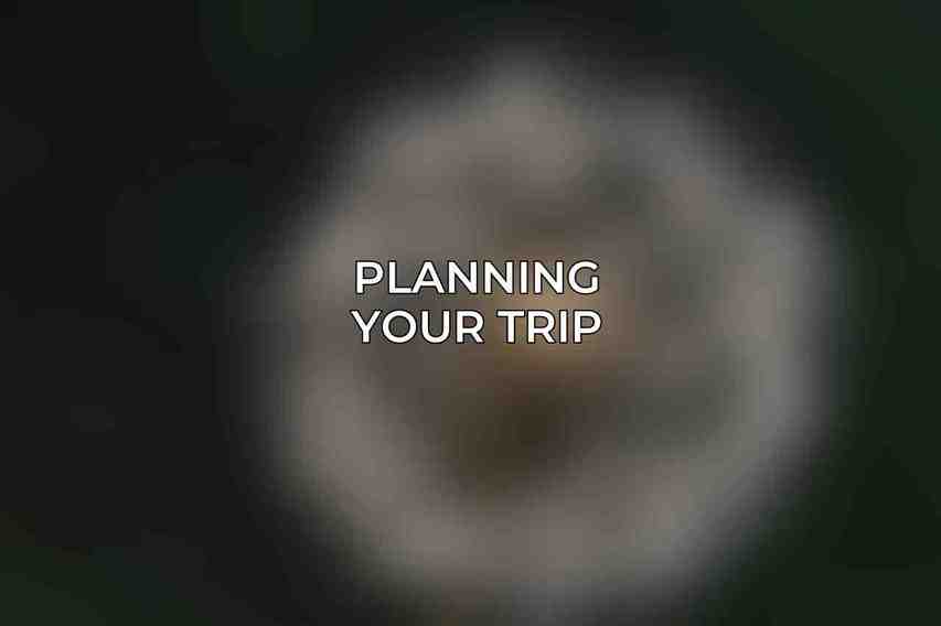 Planning Your Trip