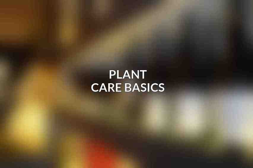 Plant Care Basics