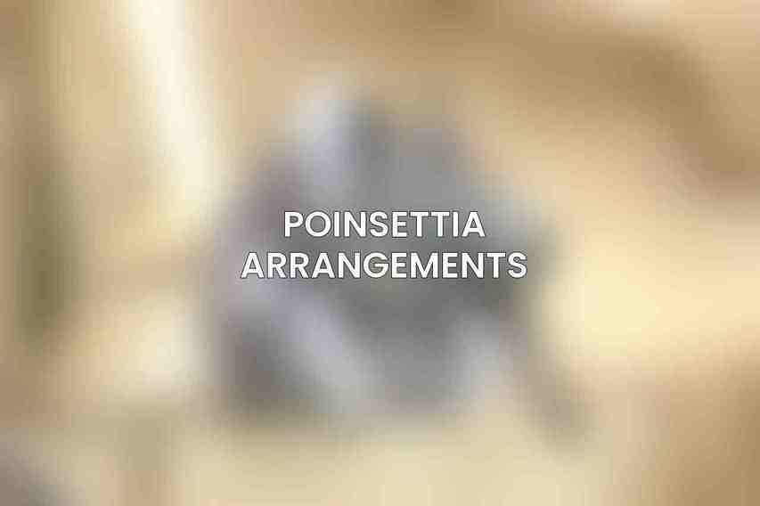 Poinsettia Arrangements