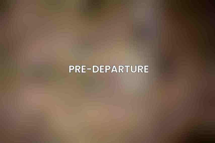 Pre-Departure
