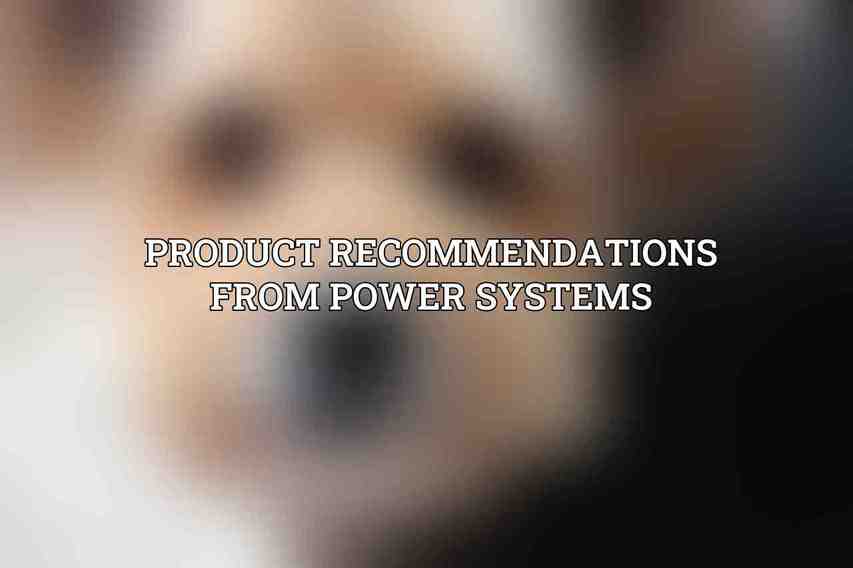 Product Recommendations from Power Systems