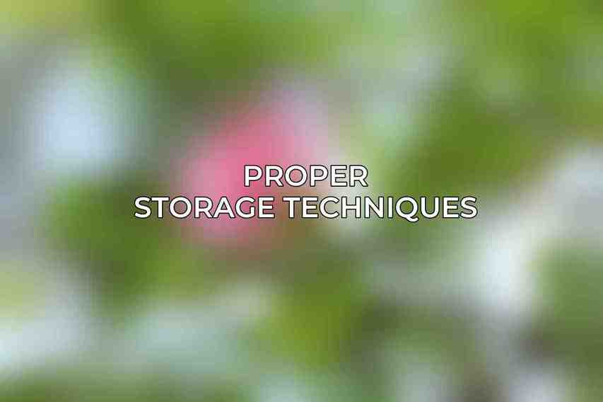 Proper Storage Techniques