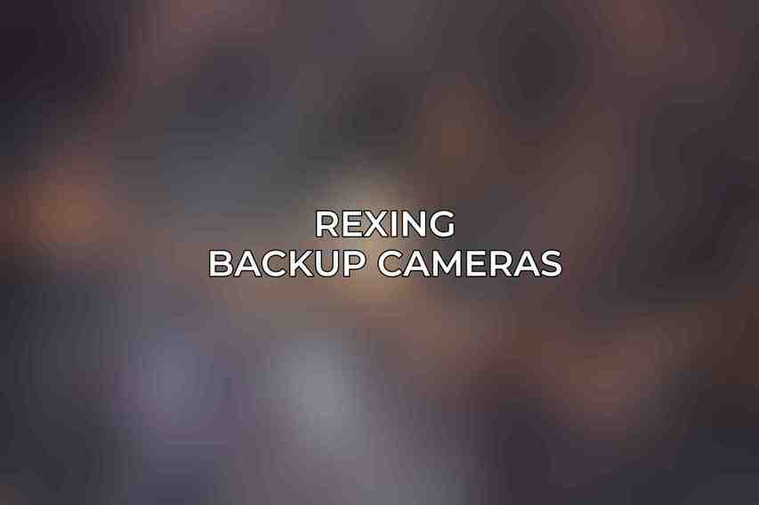 Rexing Backup Cameras
