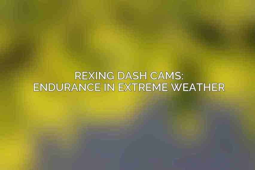 Rexing Dash Cams: Endurance in Extreme Weather