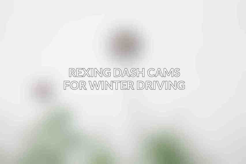 Rexing Dash Cams for Winter Driving