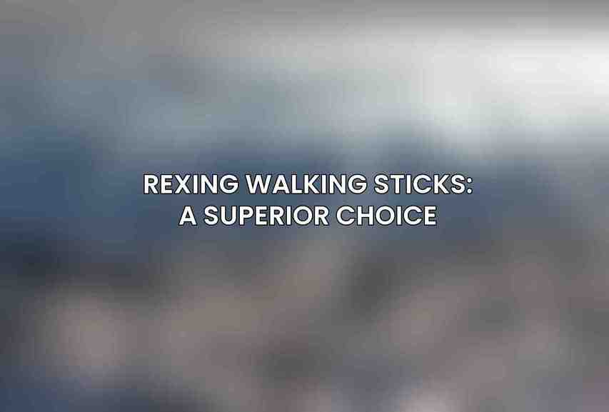 Rexing Walking Sticks: A Superior Choice