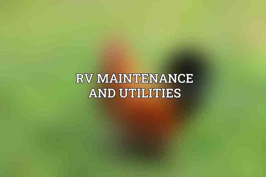 RV Maintenance and Utilities