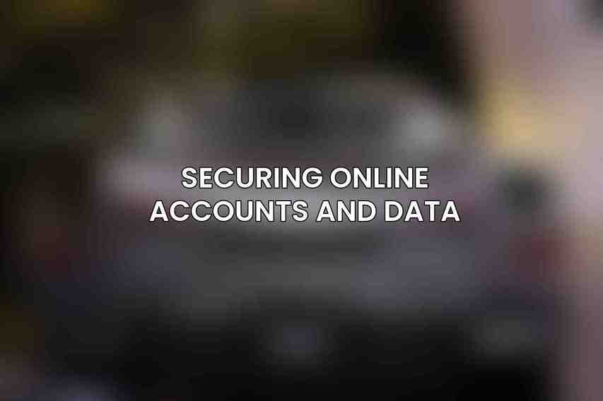 Securing Online Accounts and Data
