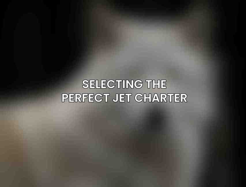 Selecting the Perfect Jet Charter