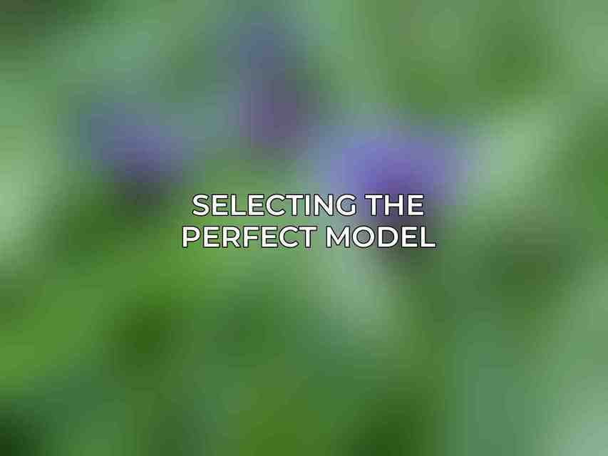 Selecting the Perfect Model