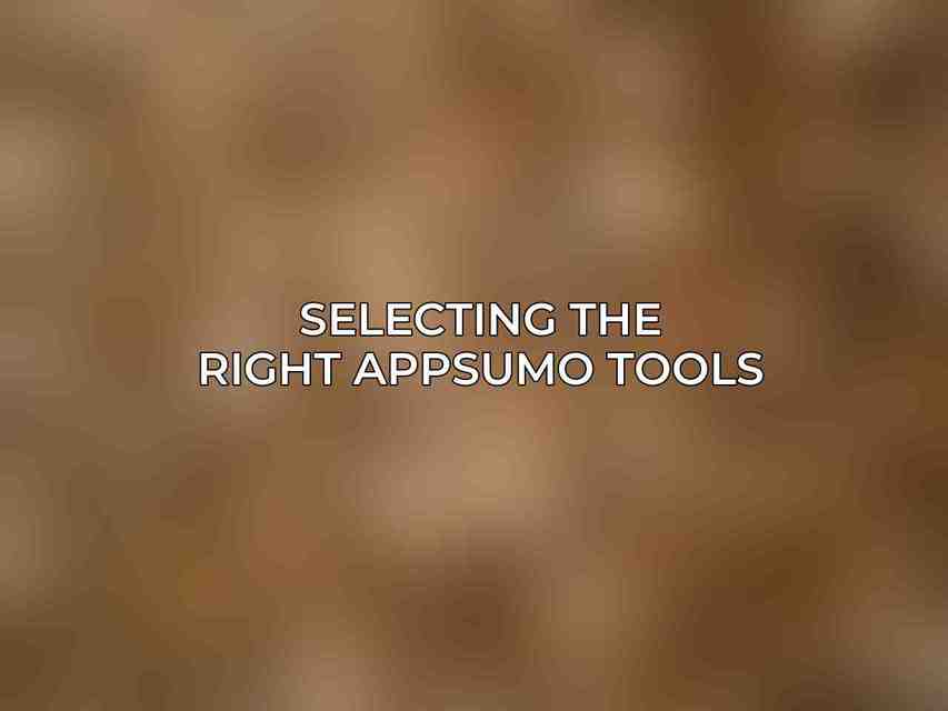 Selecting the Right AppSumo Tools