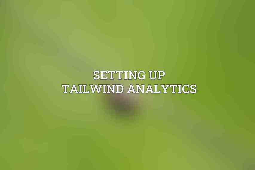 Setting Up Tailwind Analytics