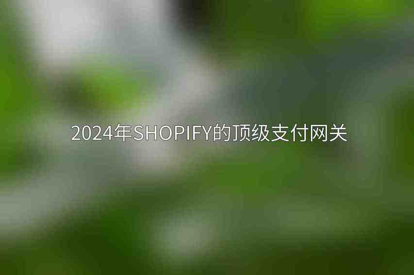 2024年Shopify的顶级支付网关