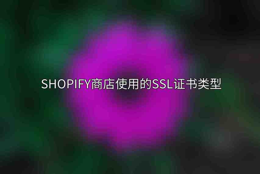 Shopify商店使用的SSL证书类型