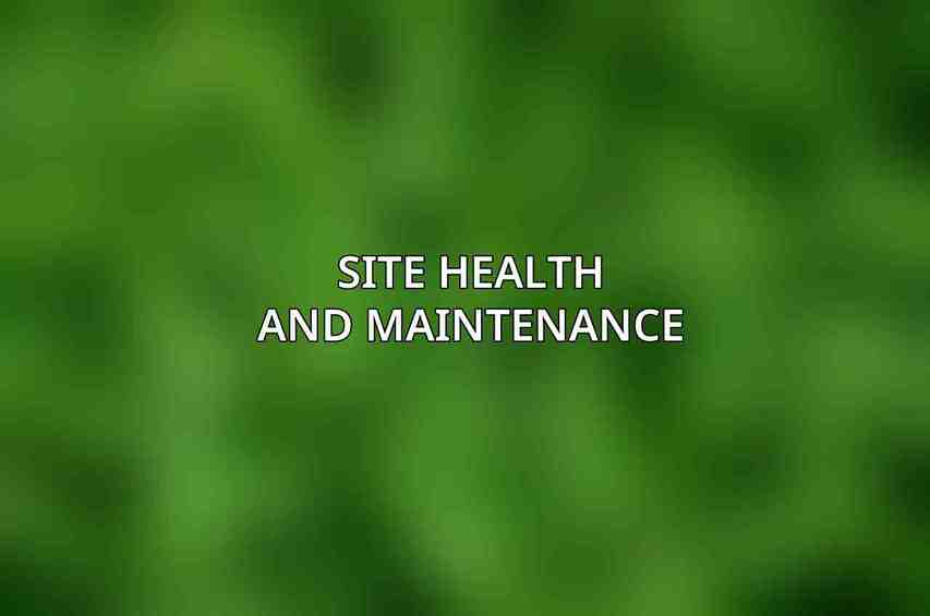 Site Health and Maintenance