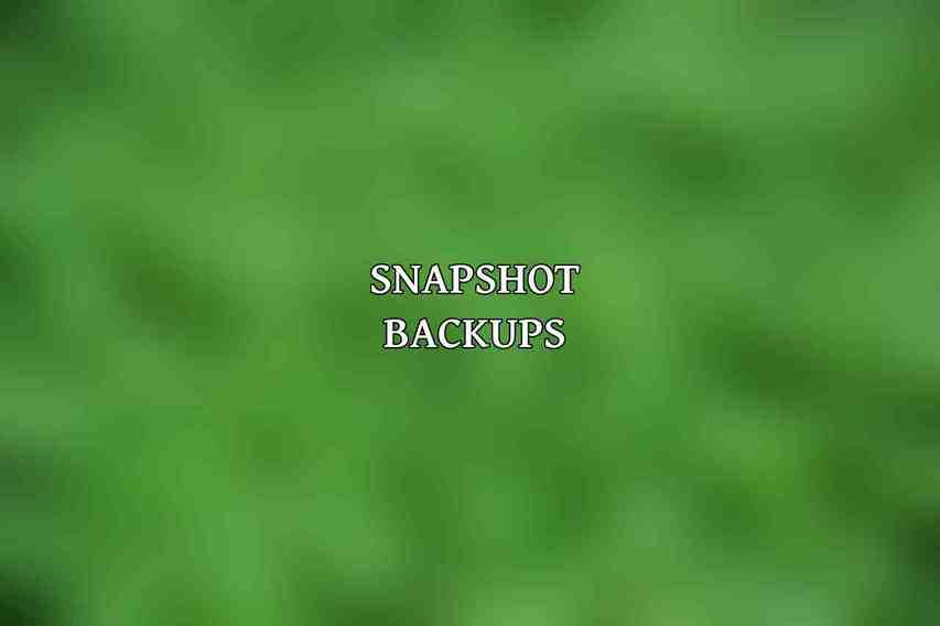 Snapshot Backups