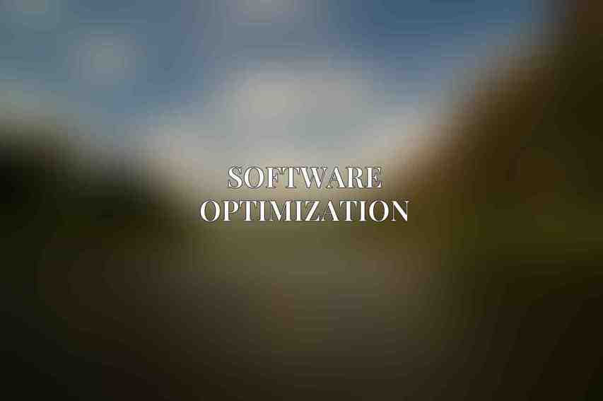 Software Optimization