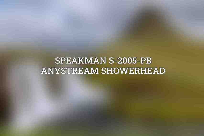 Speakman S-2005-PB Anystream Showerhead