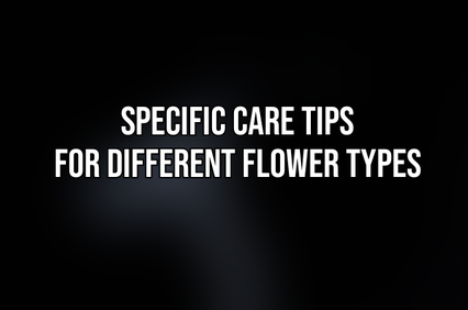 Specific Care Tips for Different Flower Types
