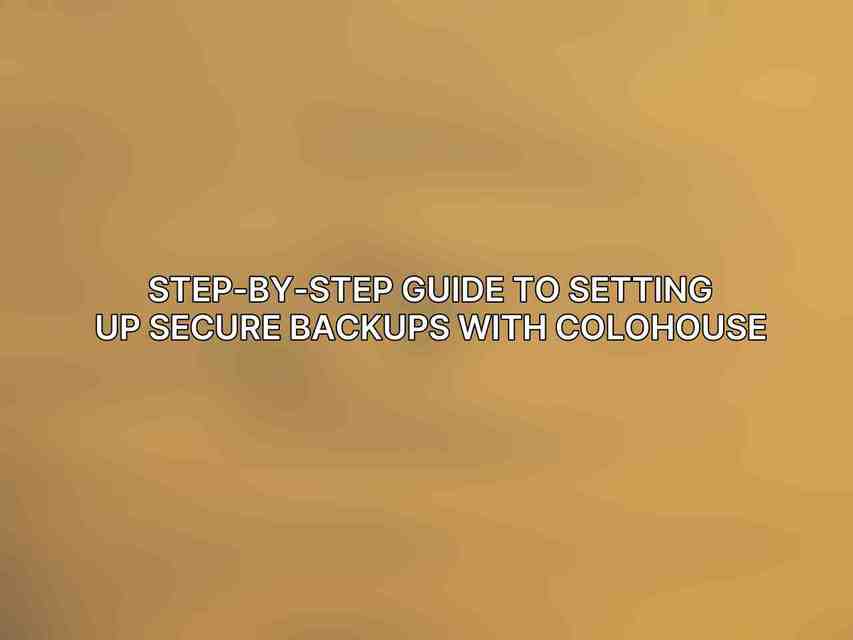 Step-by-Step Guide to Setting Up Secure Backups with Colohouse