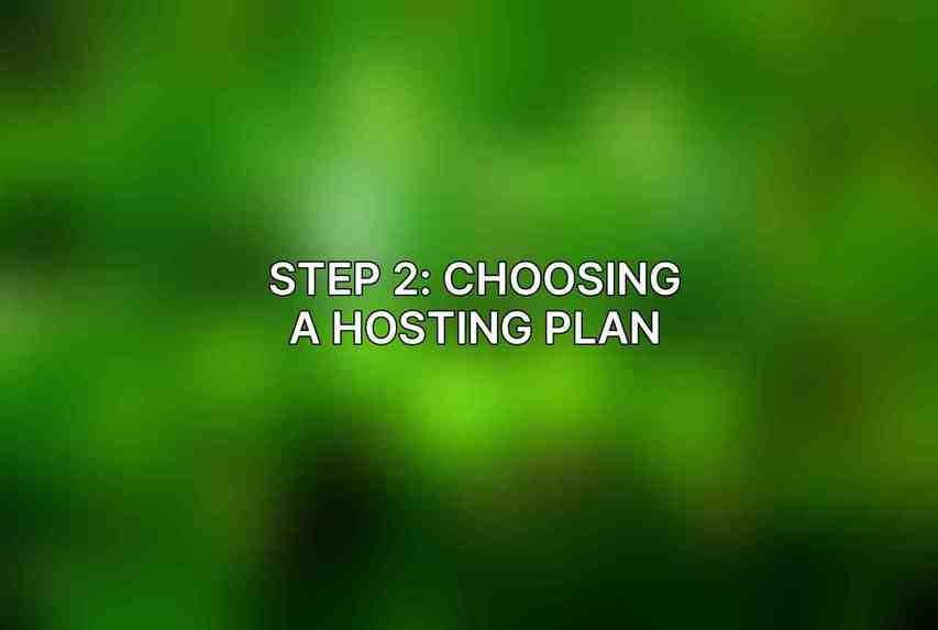 Step 2: Choosing a Hosting Plan