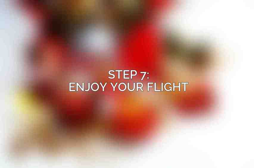 Step 7: Enjoy Your Flight