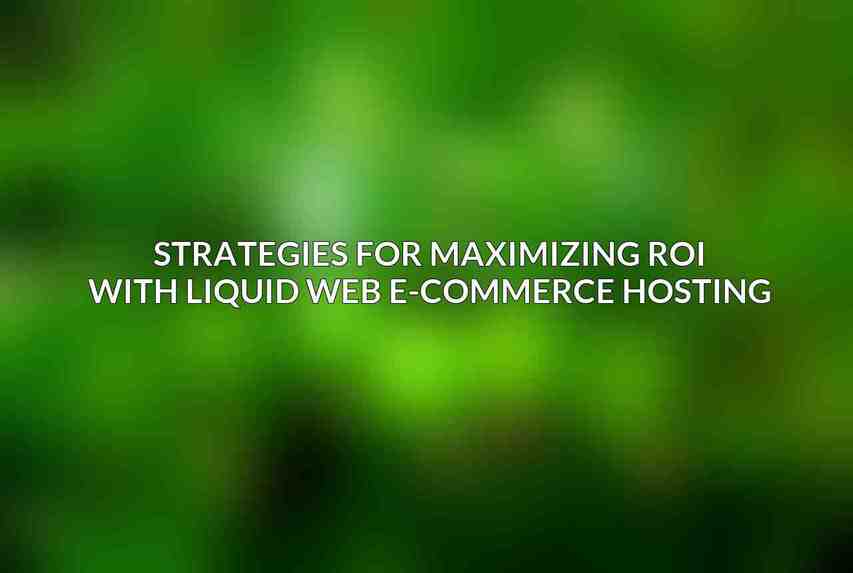 Strategies for Maximizing ROI with Liquid Web E-commerce Hosting