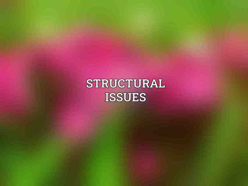 Structural Issues