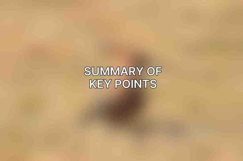 Summary of Key Points